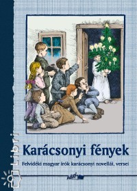 Karácsonyi fények