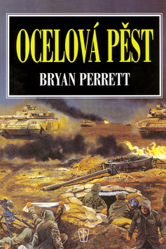 Ocelová pěst