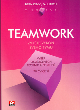 Teamwork v kostce