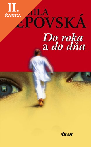 Lacná kniha Do roka a do dňa