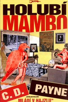 Kniha Holubí mambo - mládí v hajzlu - C. D. Payne,Tamara Váňová