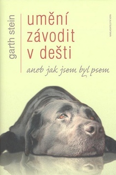 Umění závodit v dešti