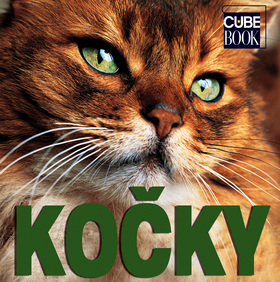 Kočky I.