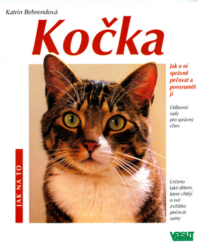 Kočka - Jak na to