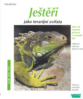 Ještěři jako terarijní zvířata - jak na to