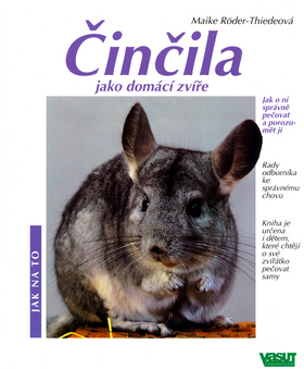 Činčila - Jak na to
