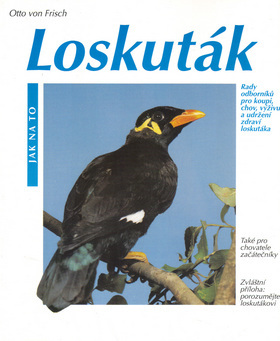 Loskuták - Jak na to