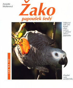 Žako papoušek šedý - Jak na to