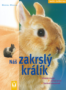 Náš zakrslý králik