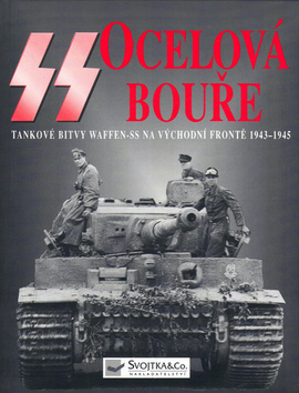 SS Ocelová bouře