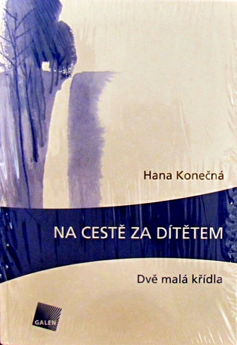 Kniha Na cestě za dítětem