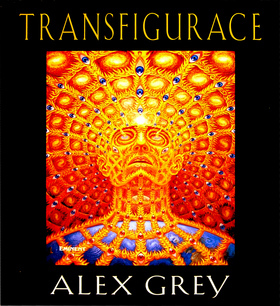 Transfigurace