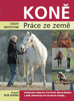 Koně - práce ze země