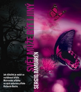 Svět může být i jiný - Sergio Bambaren