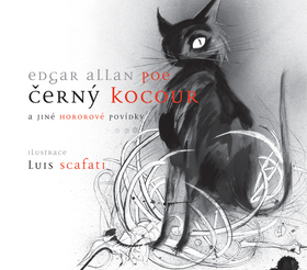 Černý kocour