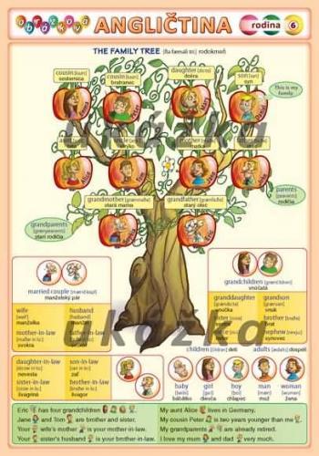 Kniha Obrázková angličtina 6 - rodina