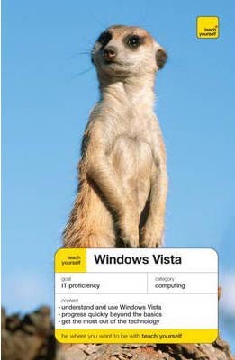 Teach Yourself Windows Vista (TY Computing)