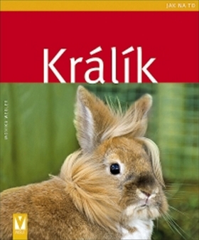 Králík - jak na to