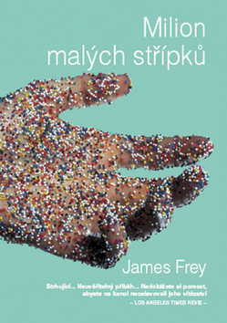 Milion malých střípků