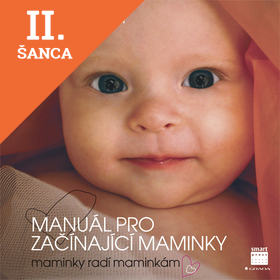 Lacná kniha Manuál pro začínající maminky