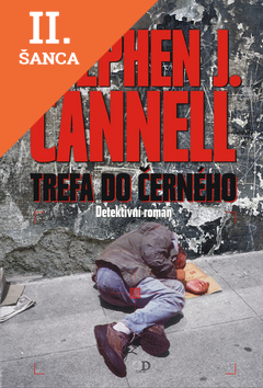 Lacná kniha Trefa do černého