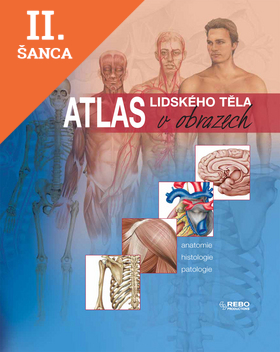 Lacná kniha Atlas lidského těla v obrazech
