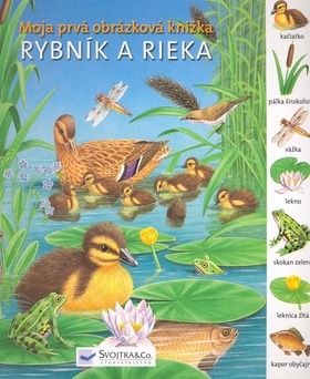 Rybník a rieka - Moja prvá obrázková knižka