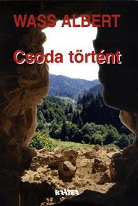 Csoda történt (Cenzúrázatlan novelláskötet)