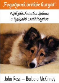 Fogadjunk örökbe kutyát!