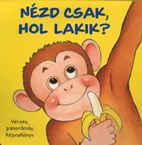 Nézd csak, hol lakik?