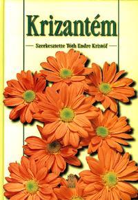 Krizantém