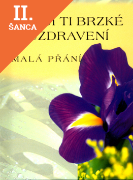 Lacná kniha Přeji Ti brzké uzdravení