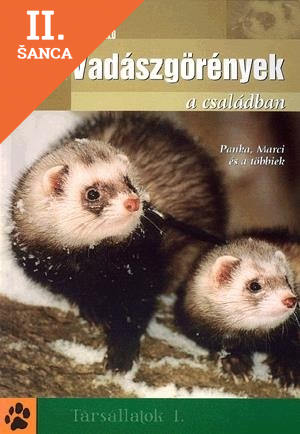 Lacná kniha Vadászgörények a családban - Panka, Marci és a többiek
