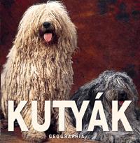 Kutyák - mini
