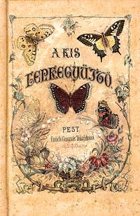 A kis lepkegyűjtő