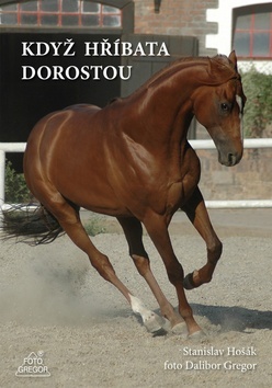 Kniha Když hříbata dorostou