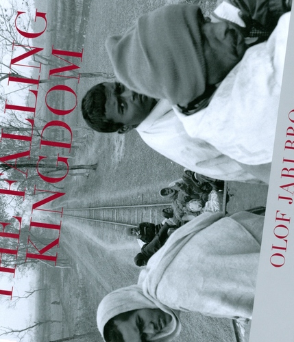 Kniha The Falling Kingdom - Mario Jaramillo