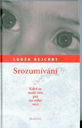 Srozumívání