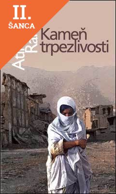 Lacná kniha Kameň trpezlivosti