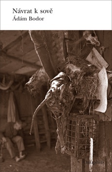 Kniha Návrat k sově