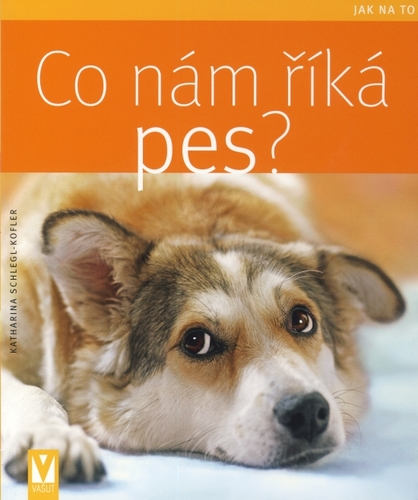 Co nám říká pes? - Jak na to