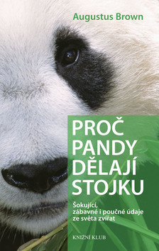 Proč pandy dělají stojku
