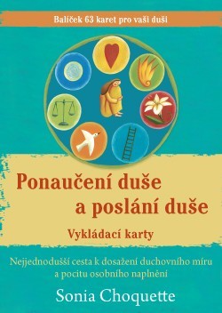 Ponaučení duše a poslání duše