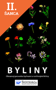 Lacná kniha Byliny