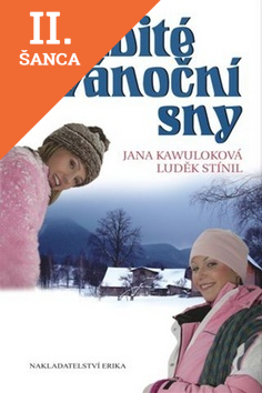 Lacná kniha Rozbité vánoční sny