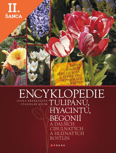 Lacná kniha Encyklopedie tulipánů, hyacintů, begonií