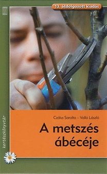 A metszés ábécéje