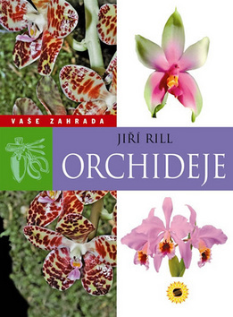 Orchideje