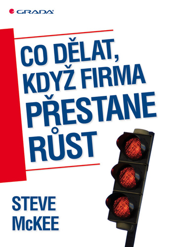 Kniha Co dělat, když firma přestane růst - Steve McKee