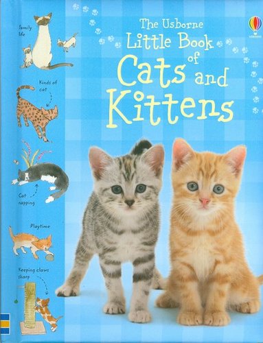 Little Book of Cats and Kittens